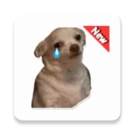 Logo of Stickers Dog Memes android Application 